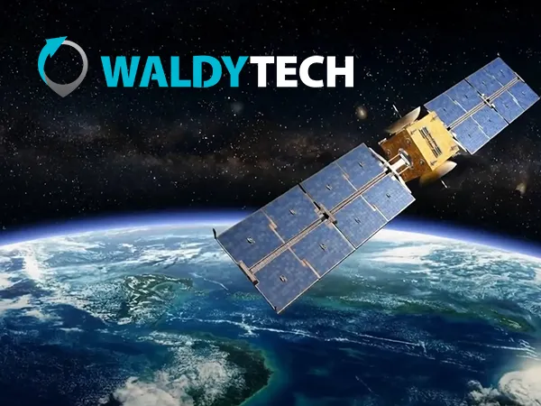 Waldytech - Website Design & Development